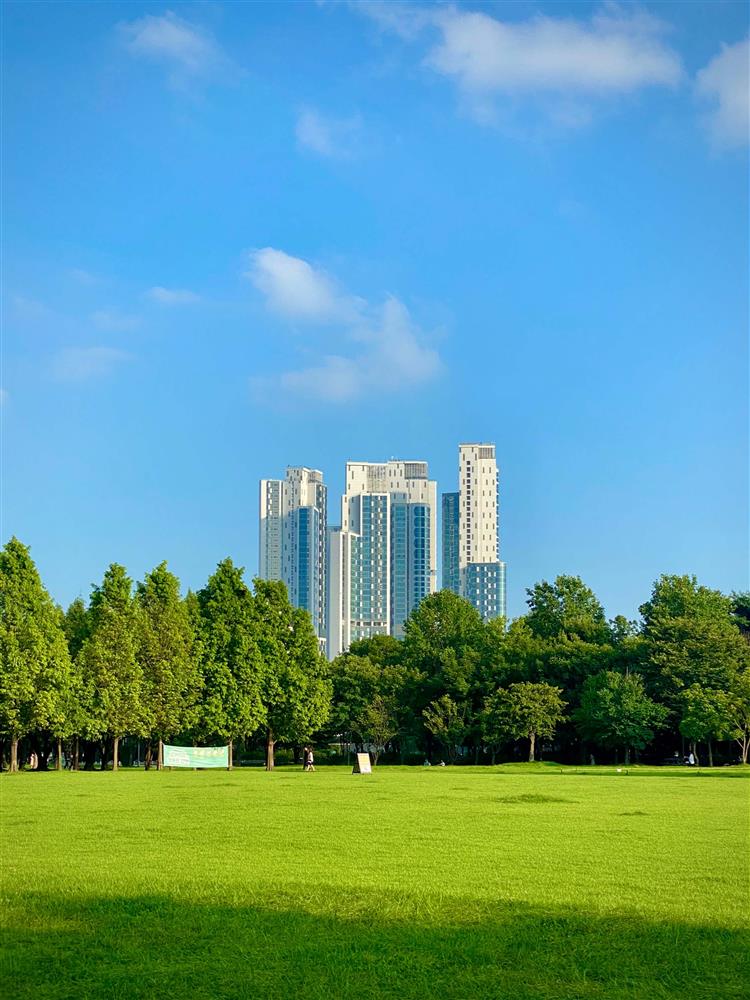 Types of Park Equipments
